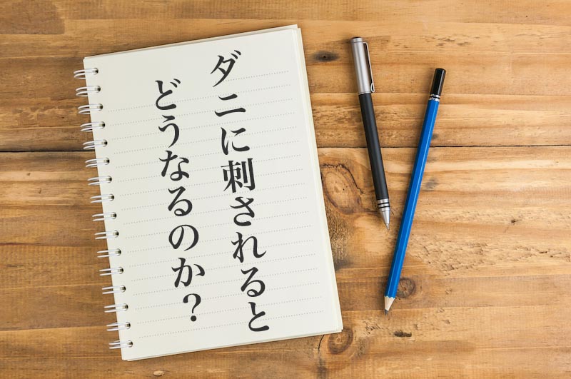 車のシートや車内のダニ対策 発生源や駆除後の効果的な予防法まとめ ハウクリ部