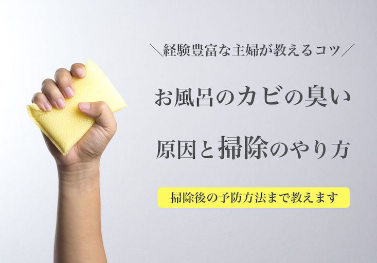 お風呂のカビ臭いニオイの原因と対策 簡単にできる予防法教えます ハウクリ部