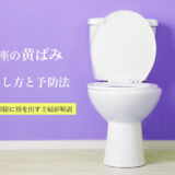 トイレ便座の黄ばみを取りたい 頑固な尿石の落とし方と予防法 ハウクリ部