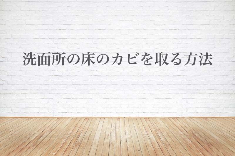 洗面所の床に生えたカビの落とし方 掃除のやり方と予防 対策を主婦が教えます ハウクリ部